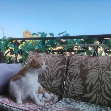 Privat bolig D'hote *