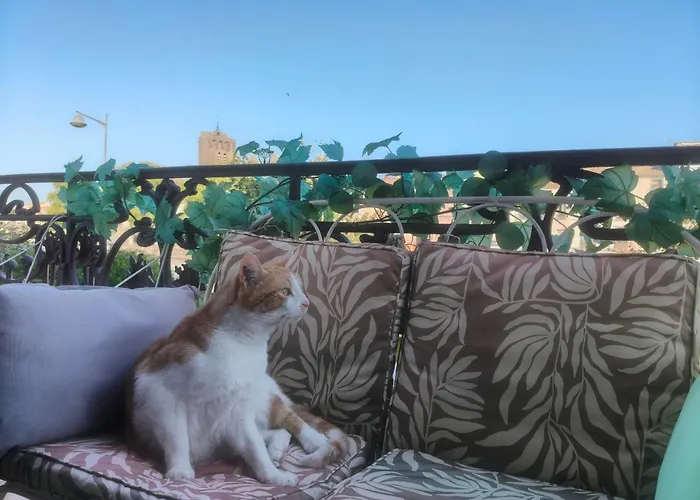 Quarto em Acomodações Particulares D'hôte *