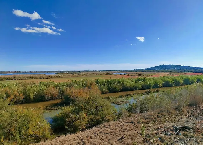 Agde T2 Entre Mer Et Riviere * Agde